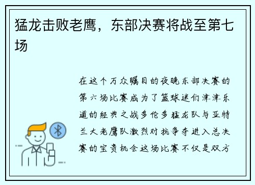 猛龙击败老鹰，东部决赛将战至第七场